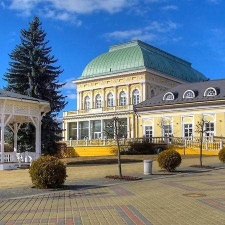 Penzion U Modreho Slona Frantiskovy Lazne Luaran gambar