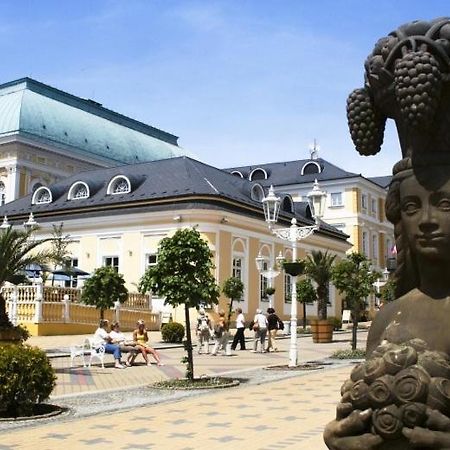 Penzion U Modreho Slona Frantiskovy Lazne Luaran gambar