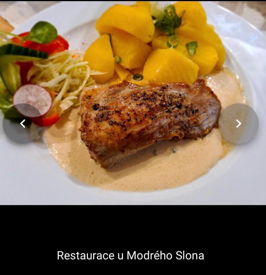 Penzion U Modreho Slona Frantiskovy Lazne Luaran gambar