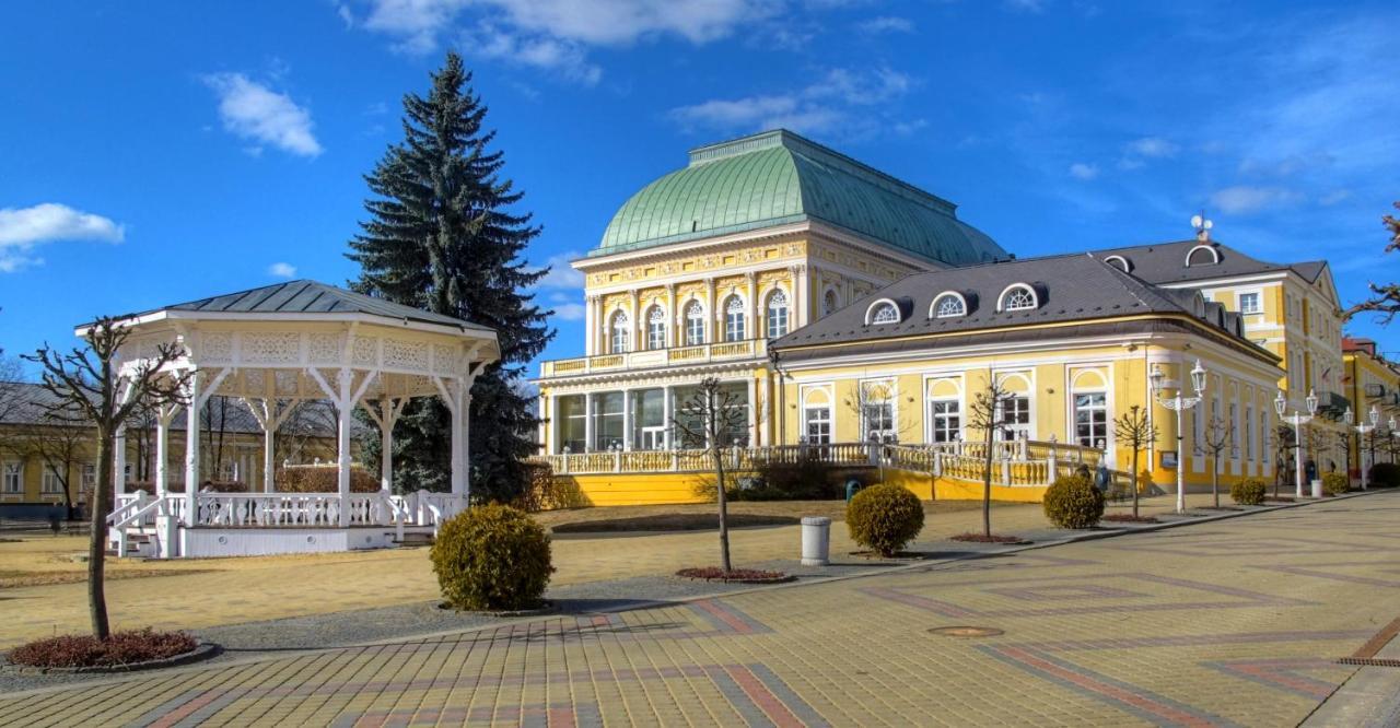 Penzion U Modreho Slona Frantiskovy Lazne Luaran gambar